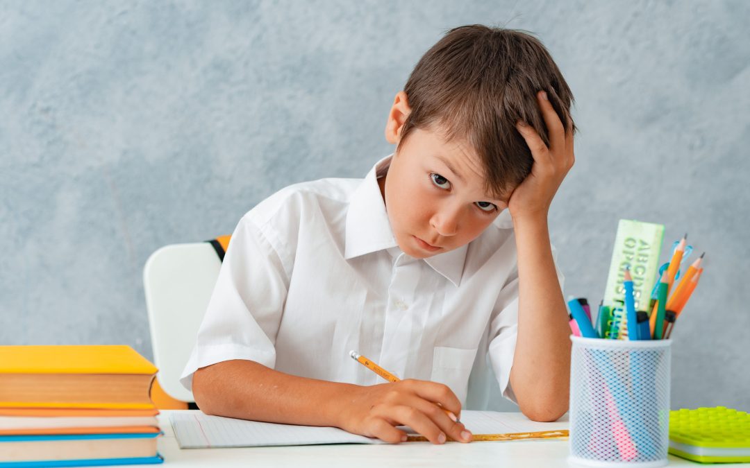 U okviru provedbe projekta omogućen je alat za pomoć djeci i odraslima s teškoćama u učenju